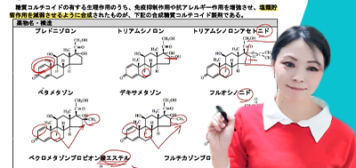 今のうちにおさえたい「化学／薬理」！ステロイドホルモンの構造活性相関と薬理作用 講義風景