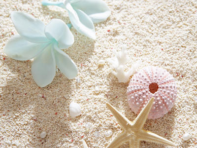 沖縄エリア/オススメ薬局　株式会社ユース