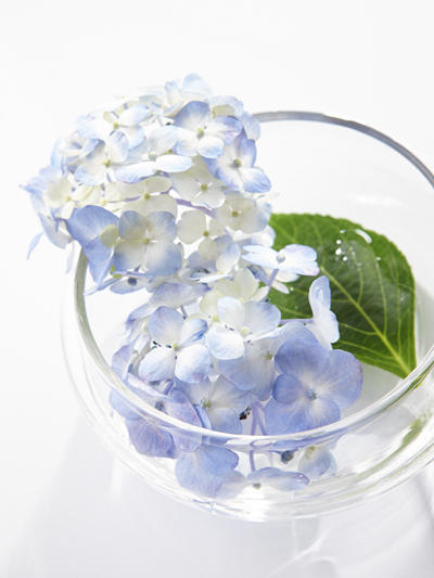 ☆時給3,500円以上の高額派遣求人のお知らせ☆