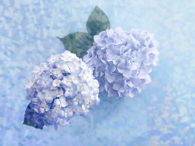 ★オススメ★静岡県・岐阜県エリアの求人紹介