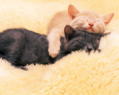 ★新着★遠方からもOK！高額派遣求人PICK UP