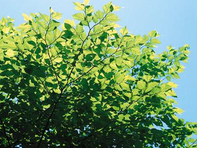 転職相談会のご案内と、おすすめ求人特集【東海】