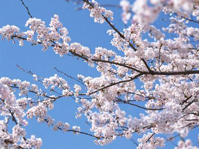 病院！老健！高時給派遣！ほか おすすめ求人特集【東海／愛知・岐阜・三重・静岡】