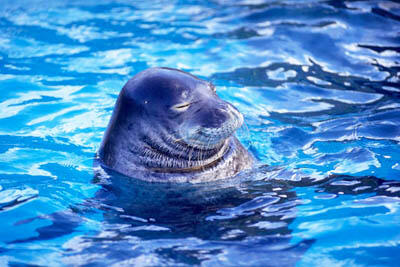 ★働き方改革！週休3日求人★