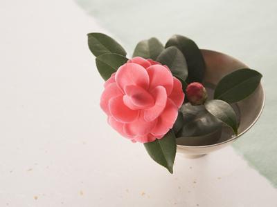 時給4,000円・住居付き・週休2.5日・託児所あり...おすすめ求人特集【東海／愛知・岐阜・三重・静岡・長野】