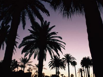 企業求人・新規オープン・土日休み・高給与 ほか、おすすめ求人特集【東海／愛知・岐阜・三重・静岡】