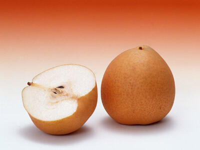 週20時間～社保加入！おすすめパート求人特集★