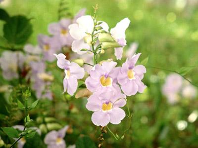 「年収750万円」「週休2.5日」の正社員オススメ求人特集【東海／愛知・岐阜・三重・静岡】