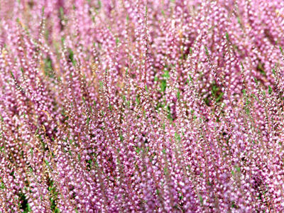 朝ゆっくり出勤できるパート求人特集！