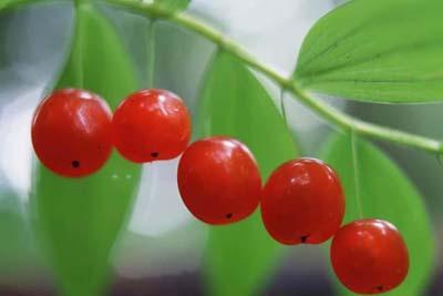 週休2.5日！住居付き派遣！人気の病院求人ほか、おすすめ求人特集【東海／愛知・岐阜・三重・静岡】