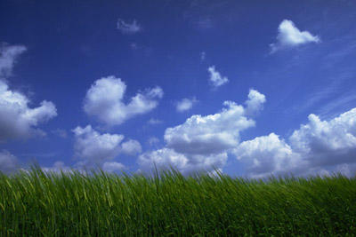 ★10月・11月～の急募・派遣求人★