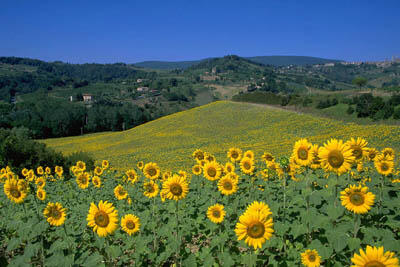 働きやすさを重視した正社員の求人！