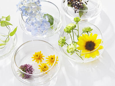 【8月】今月のテーマは「安心」です！