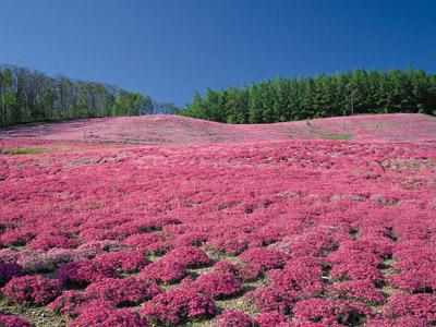 【5月】今月のテーマは「年間休日」