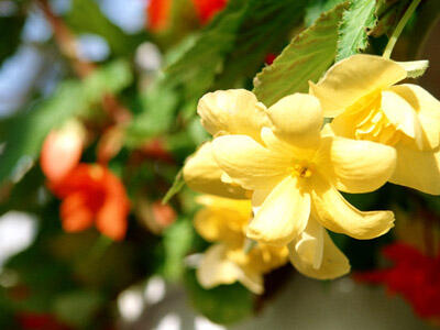 【5月】今月のテーマは「調剤経験を活かす」です！