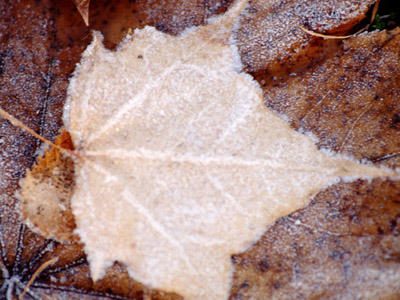 【今月のテーマは残業です！オススメの求人となります！】