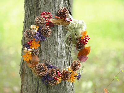 【11月開催】無料お相談会のご案内♪