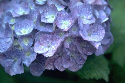 北海道でお仕事しませんか？住居付＆着任費用補助あり♪