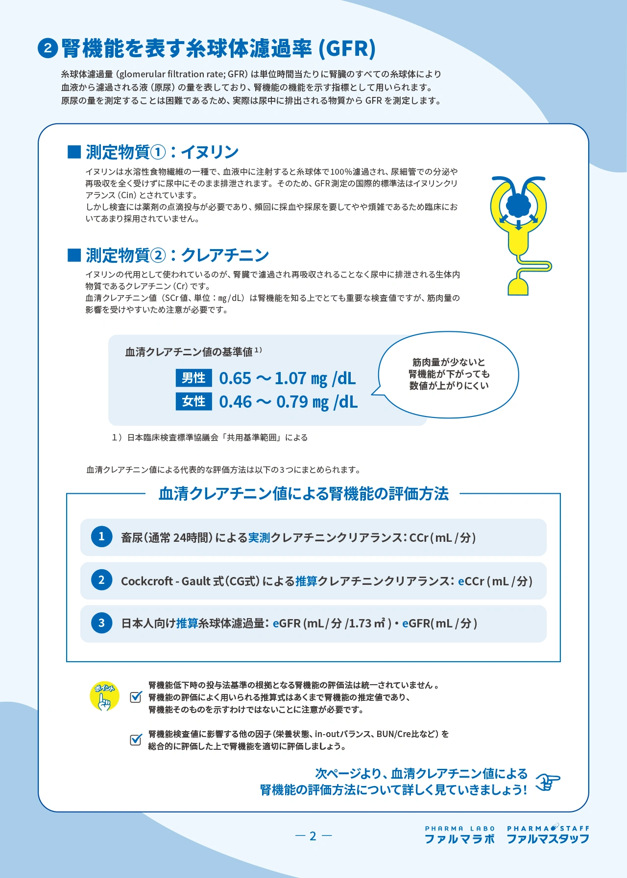 サンプル画像
