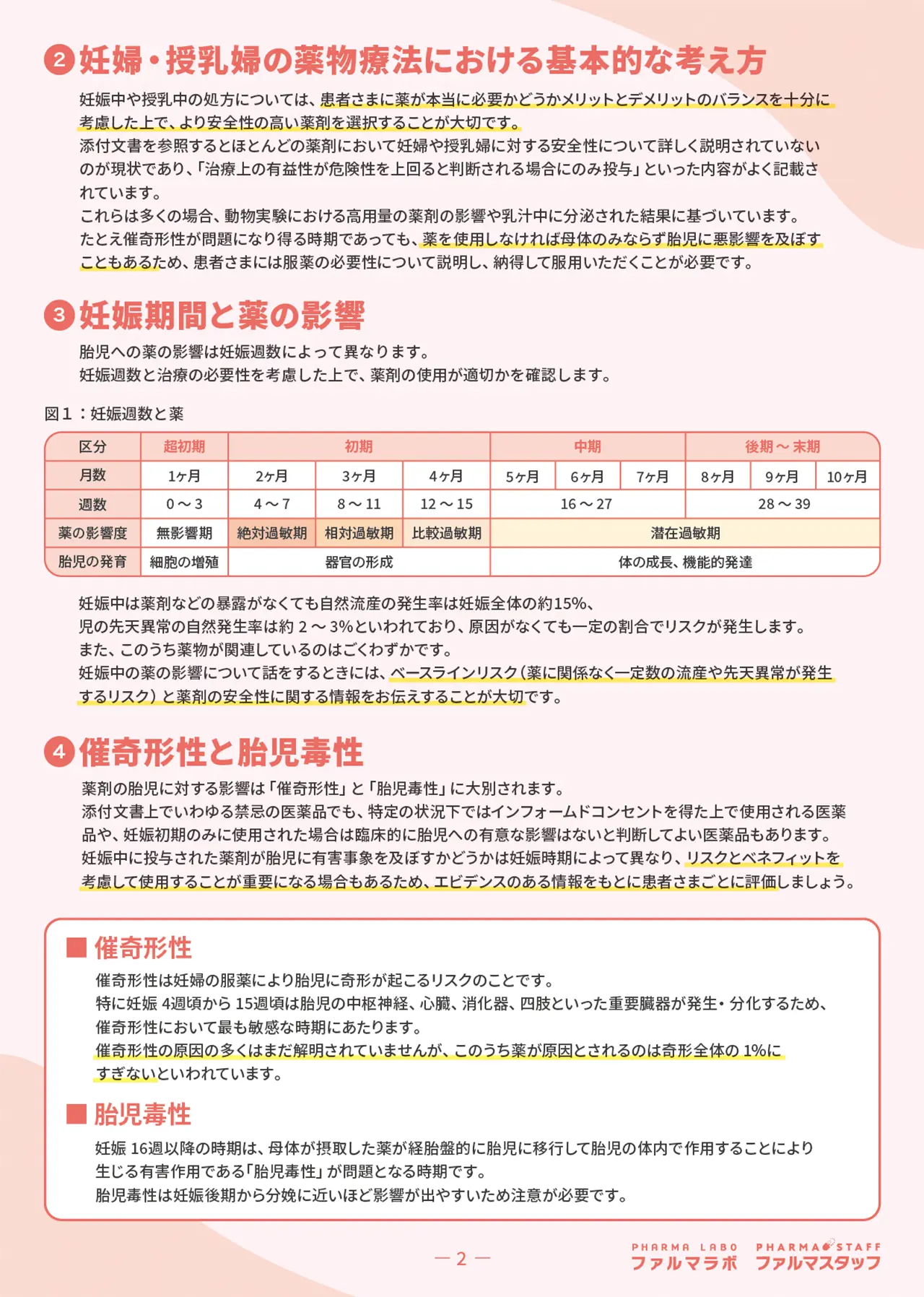 サンプル画像