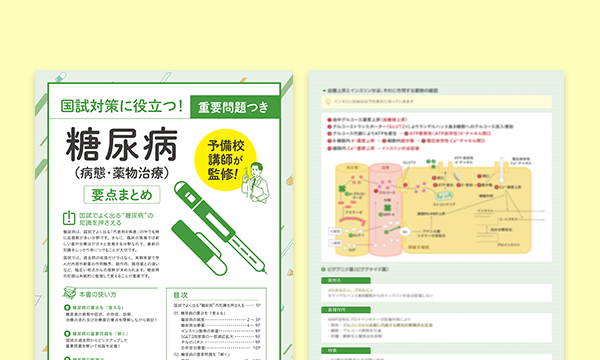 国試対策に役立つ！重要問題つき 糖尿病（病態・薬物治療）要点まとめ