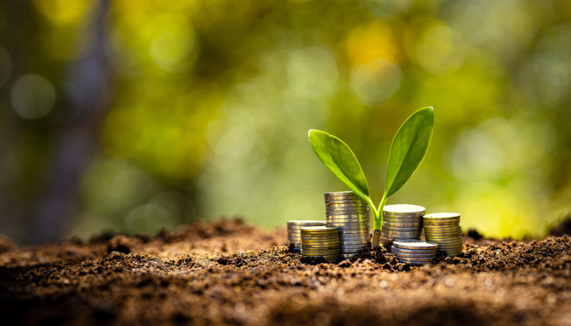 土から出る新芽とコインの画像