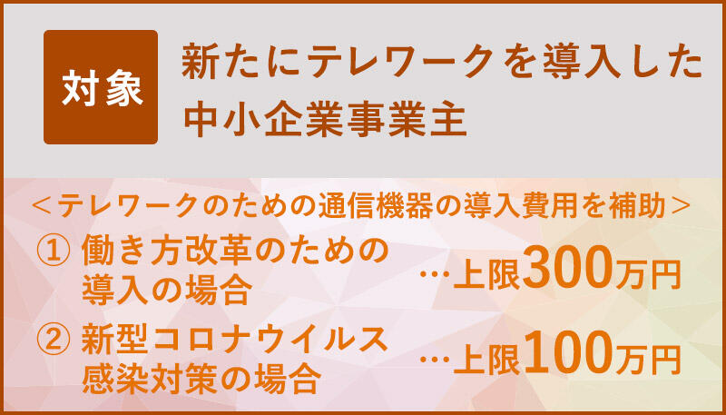 新たにテレワークを導入した中小企業事業主