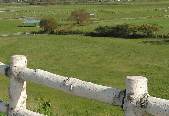 【北海道・東北地方】高額薬剤師派遣求人