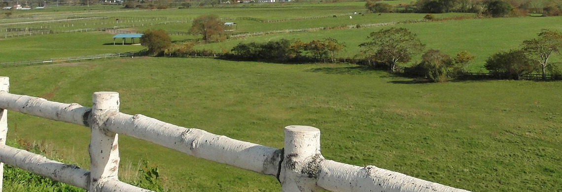 【北海道・東北地方】高額薬剤師派遣求人